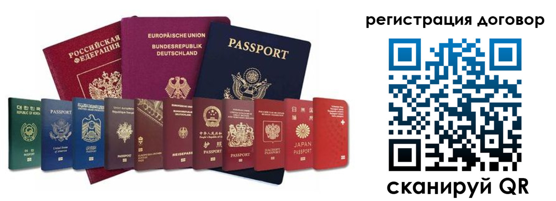 прописка для работы в Пионерском